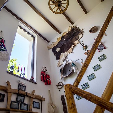 Casa Mosului - Transfagarasan Bed & Breakfast Cîrţişoara Extérieur photo
