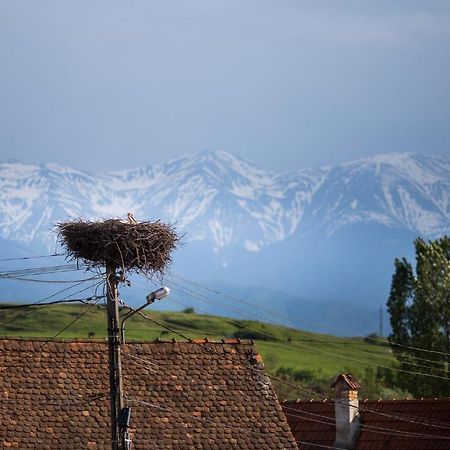 Casa Mosului - Transfagarasan Bed & Breakfast Cîrţişoara Extérieur photo