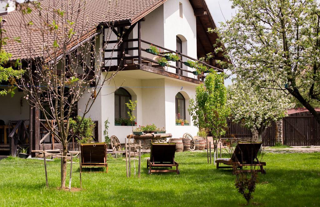 Casa Mosului - Transfagarasan Bed & Breakfast Cîrţişoara Extérieur photo