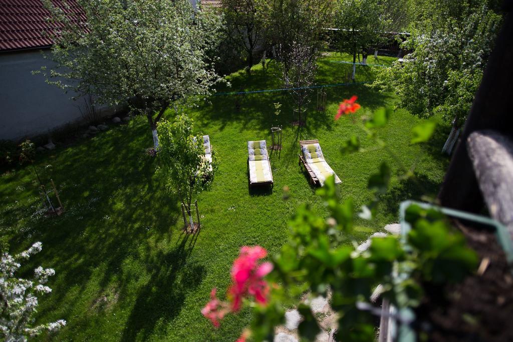 Casa Mosului - Transfagarasan Bed & Breakfast Cîrţişoara Extérieur photo