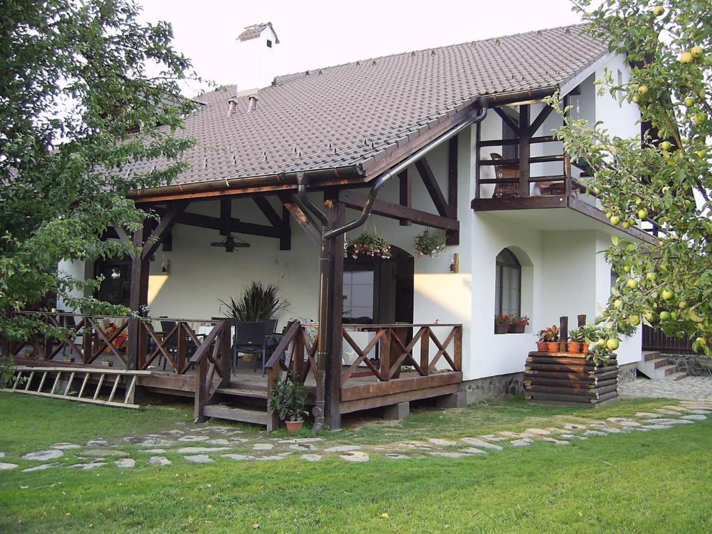 Casa Mosului - Transfagarasan Bed & Breakfast Cîrţişoara Extérieur photo