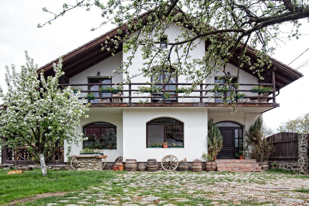 Casa Mosului - Transfagarasan Bed & Breakfast Cîrţişoara Extérieur photo