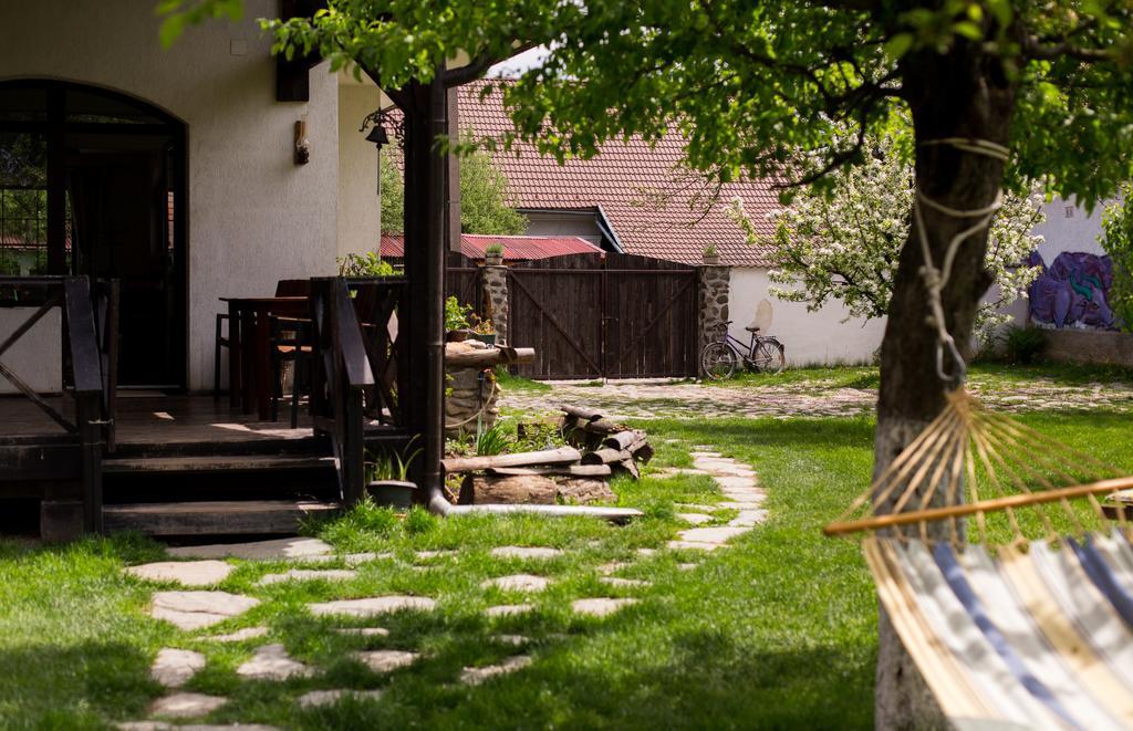 Casa Mosului - Transfagarasan Bed & Breakfast Cîrţişoara Extérieur photo