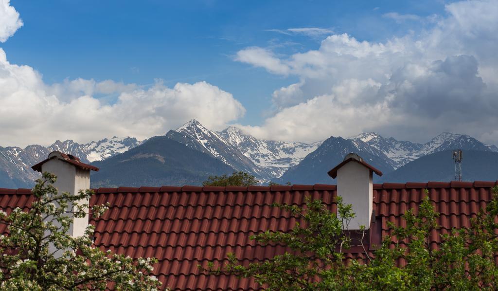 Casa Mosului - Transfagarasan Bed & Breakfast Cîrţişoara Extérieur photo
