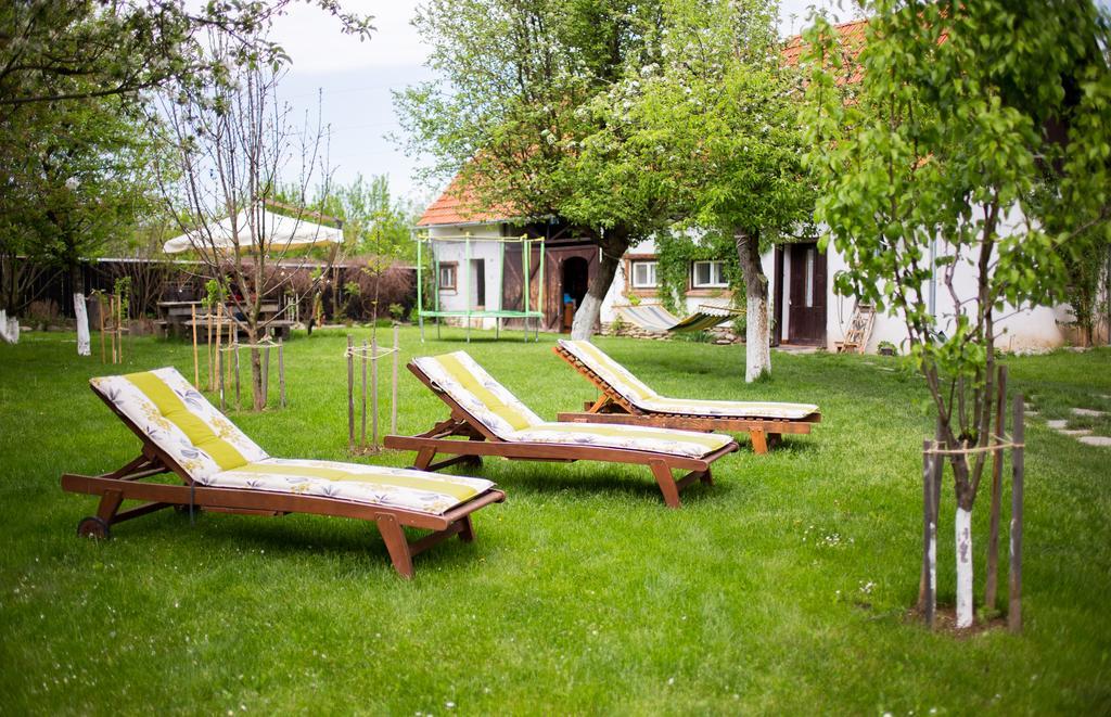 Casa Mosului - Transfagarasan Bed & Breakfast Cîrţişoara Extérieur photo