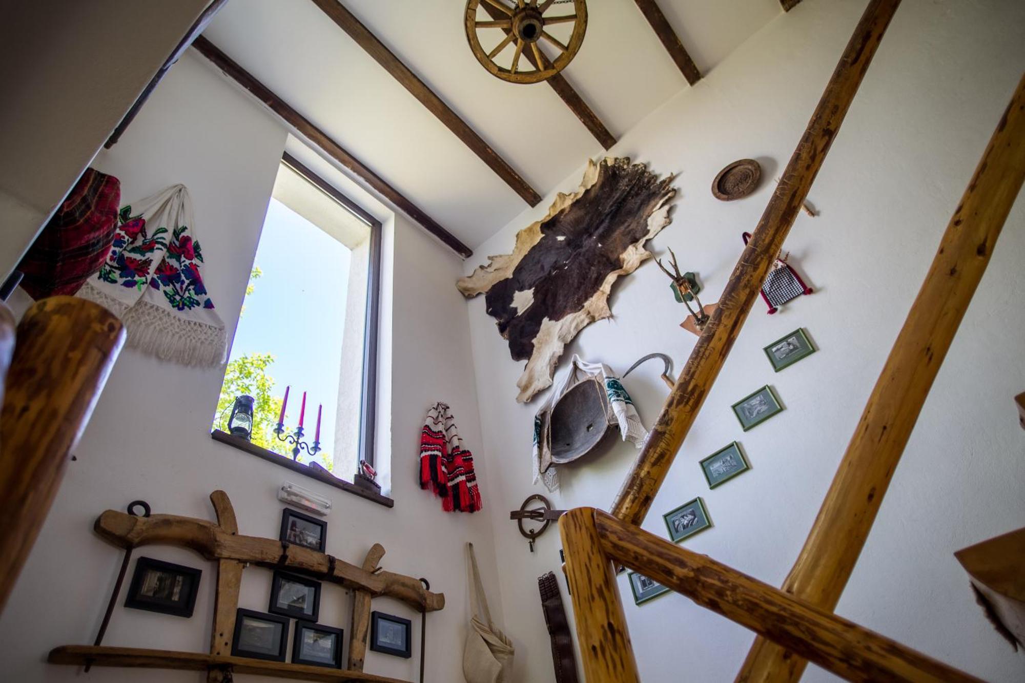 Casa Mosului - Transfagarasan Bed & Breakfast Cîrţişoara Extérieur photo