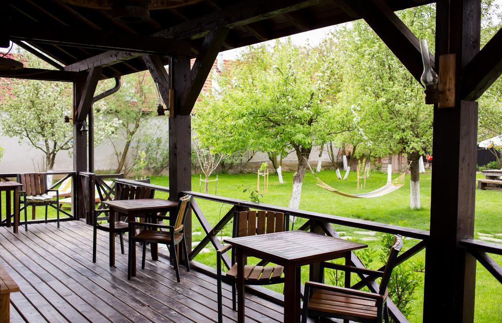 Casa Mosului - Transfagarasan Bed & Breakfast Cîrţişoara Extérieur photo