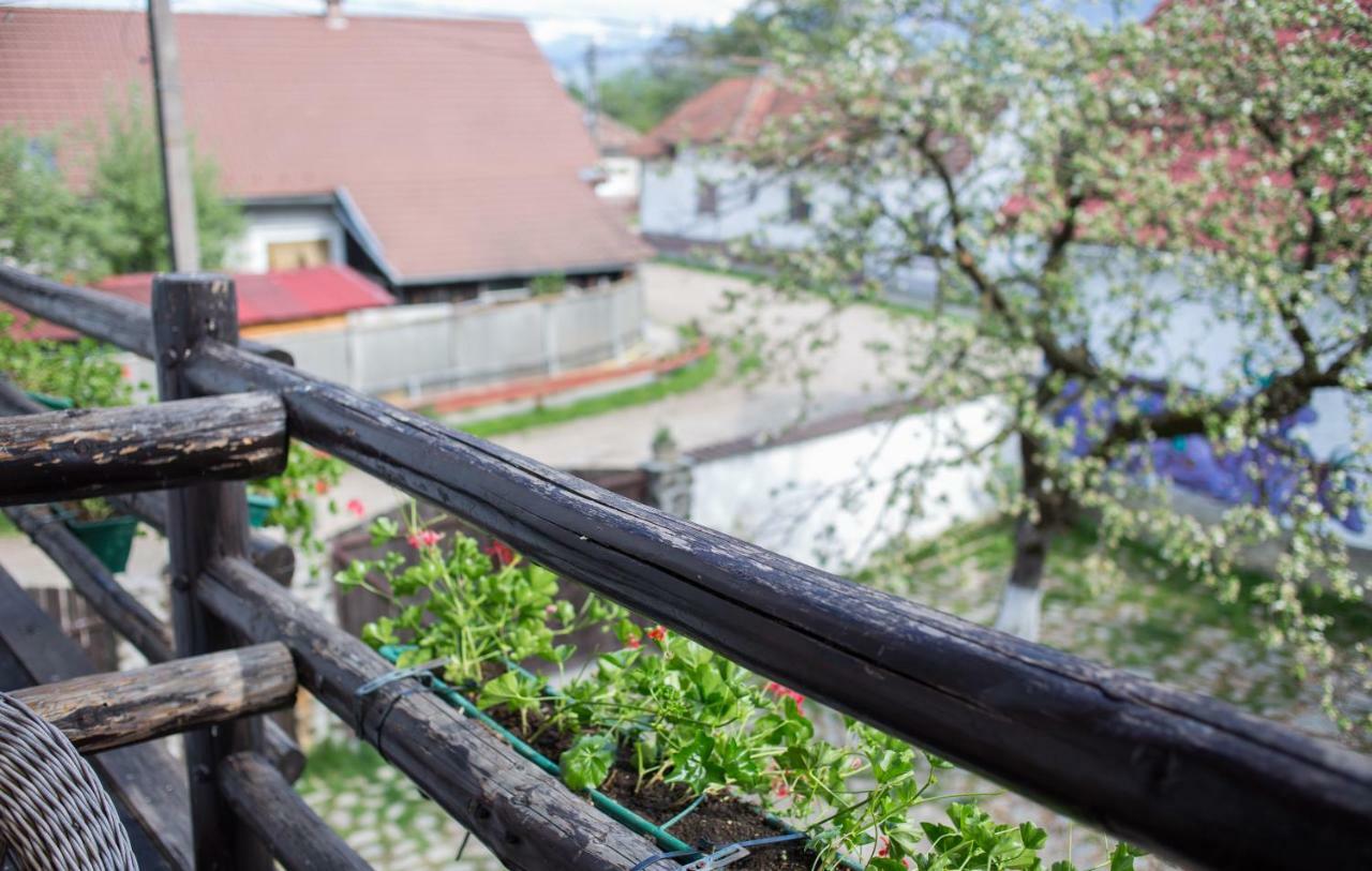 Casa Mosului - Transfagarasan Bed & Breakfast Cîrţişoara Extérieur photo